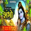 About Tin Lok Na Swami Shambho Song